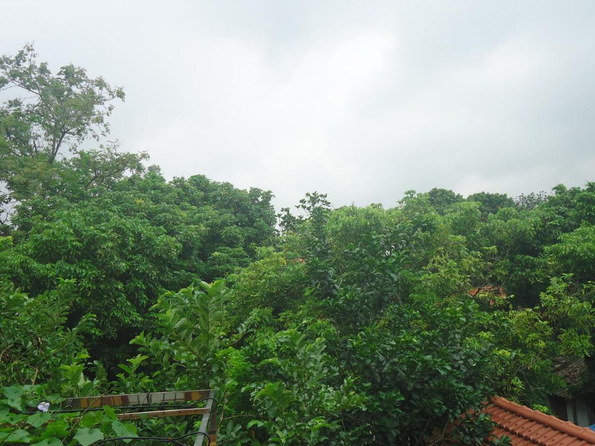Green Space Homestay Ninh Binh Exterior foto