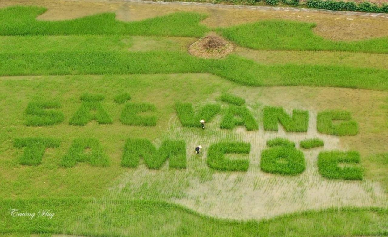Green Space Homestay Ninh Binh Exterior foto