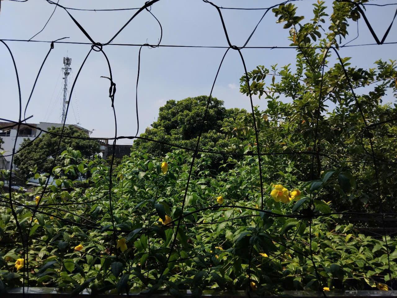 Green Space Homestay Ninh Binh Exterior foto